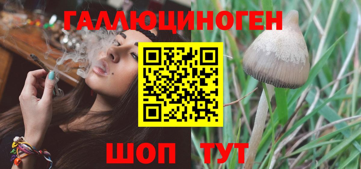 Звенигород  Псилоцибиновые грибы мухоморы  Вход с VPN 
