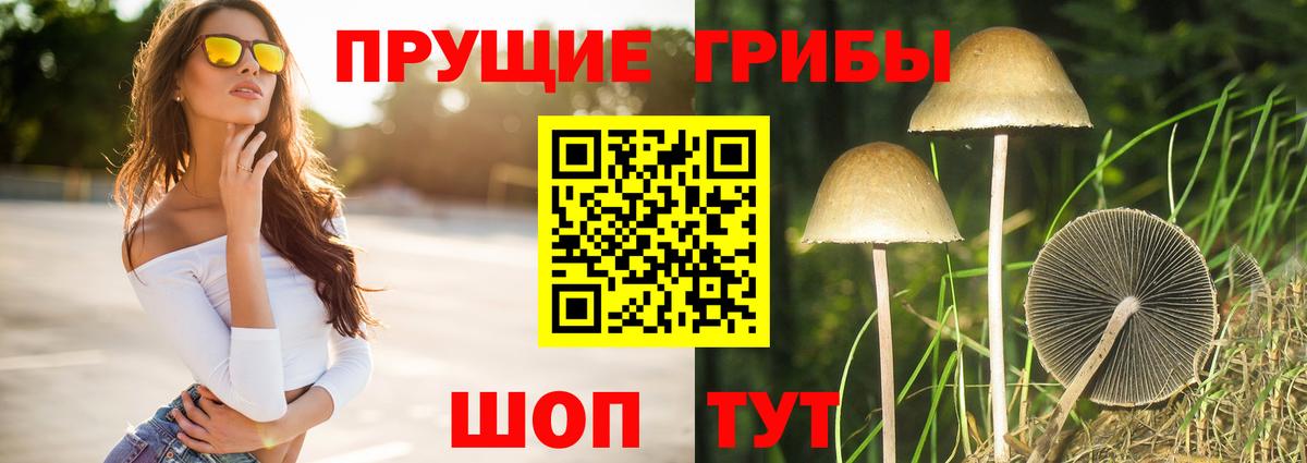 Галлюциногенные грибы мухоморы Звенигород